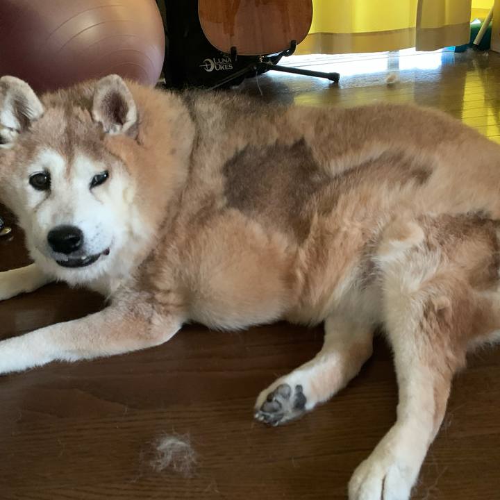 6f624388 b928 468b a2bb 3034a29b8037 1633860296449