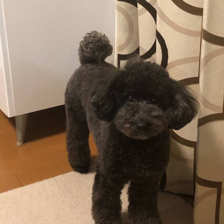 6f624439 5c94 41e8 95ef a8597bcfb46f 1581172821750