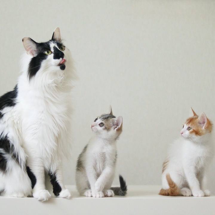 6f6285e7 06e1 4c3d 821f f3d24b0626e1 1530841787225