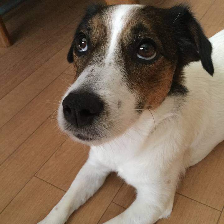 6f62961f 83ce 469e 8644 14c54de6e0d7 1532847195221