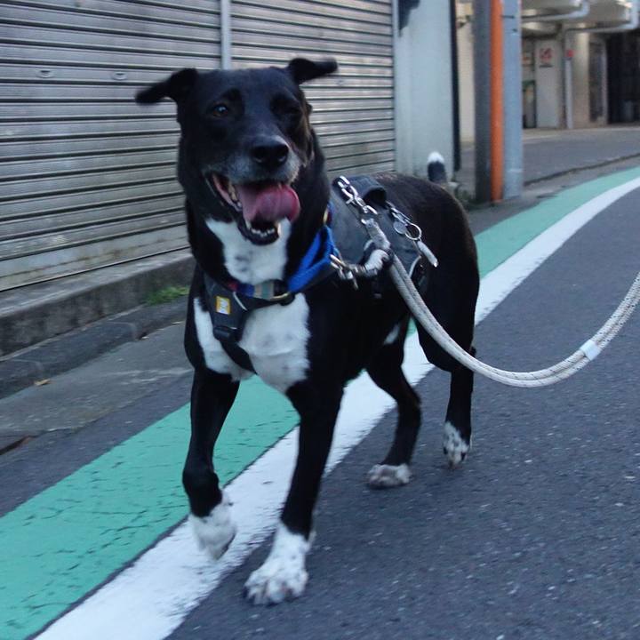 6f62c8c6 1193 4a00 85cc 023772a3b60d 1653821506533