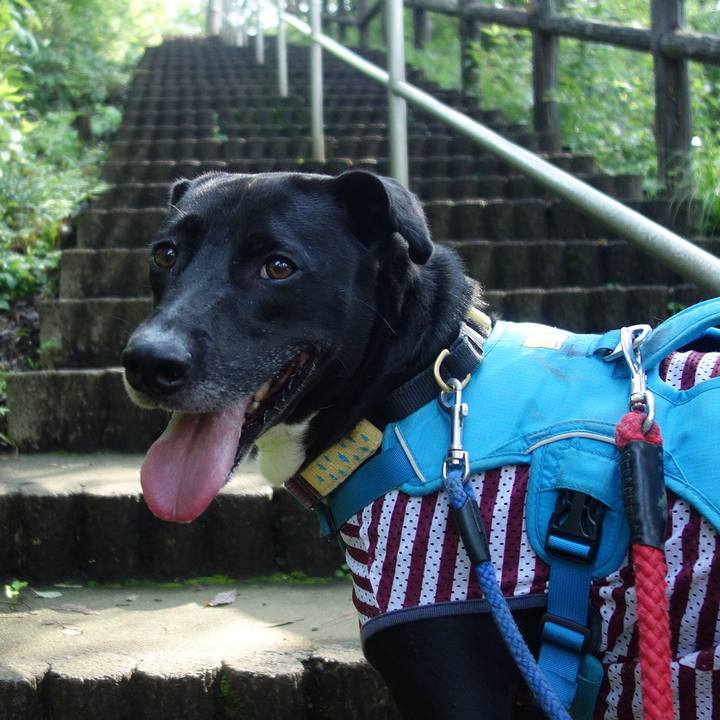 6f62c8c9 0df4 4cfa 9b8c 8825580e85c6 1626048084287