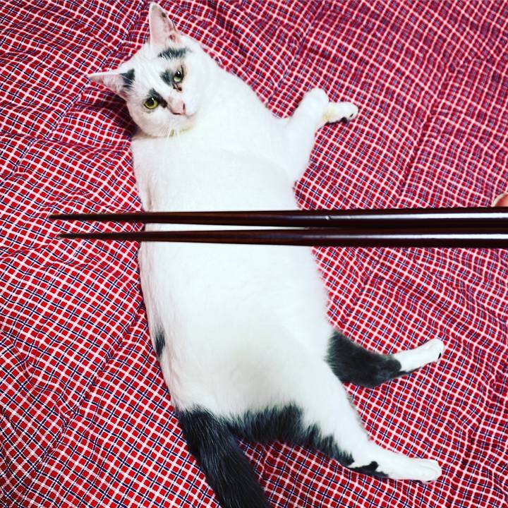 6f62df8b 5fab 4cbf a442 bd9e4a61b315 1626711912867