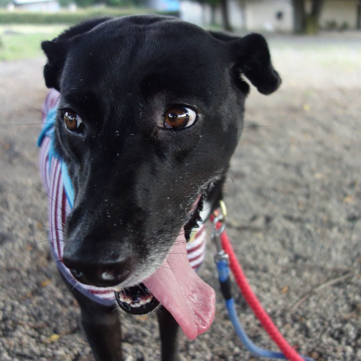 6f630879 d6fb 4f16 bfd8 de4ed719e7d9 1630023065873