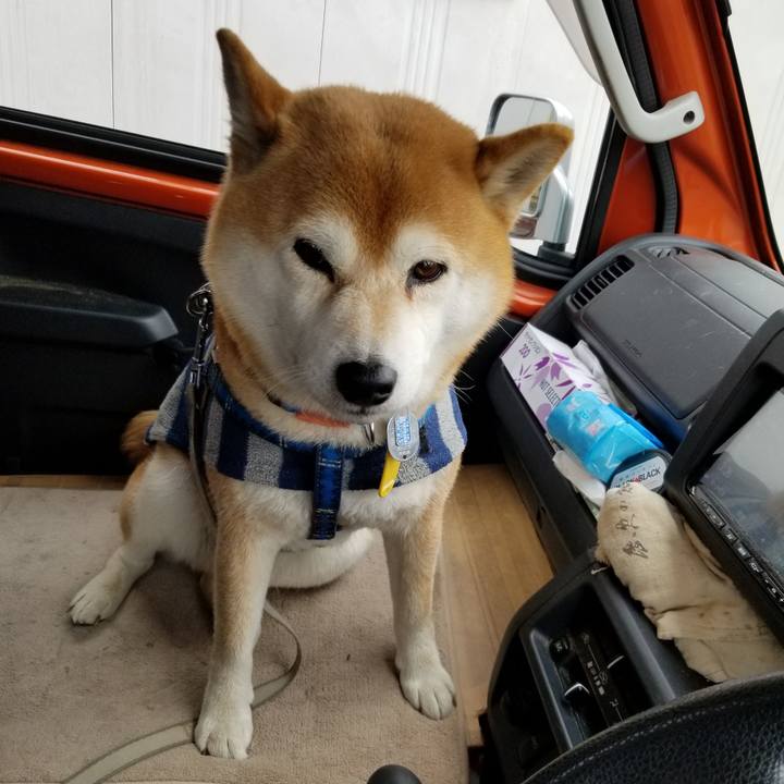 6f632ff1 f806 48ea a610 deda1f73e964 1551231216736