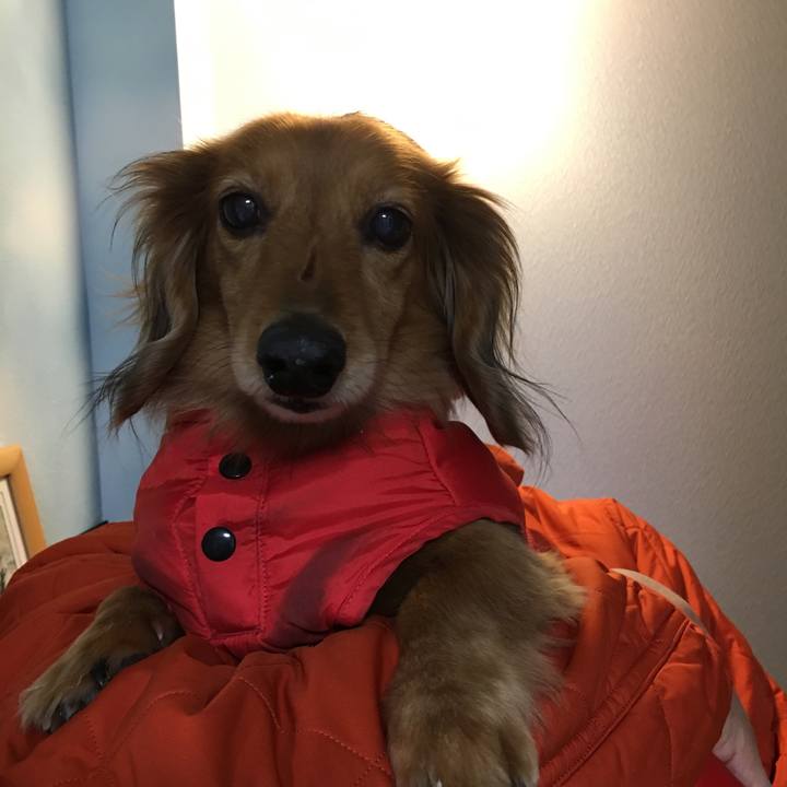 6f634738 589e 46dd ad5e 72c7b71947d5 1552570734709