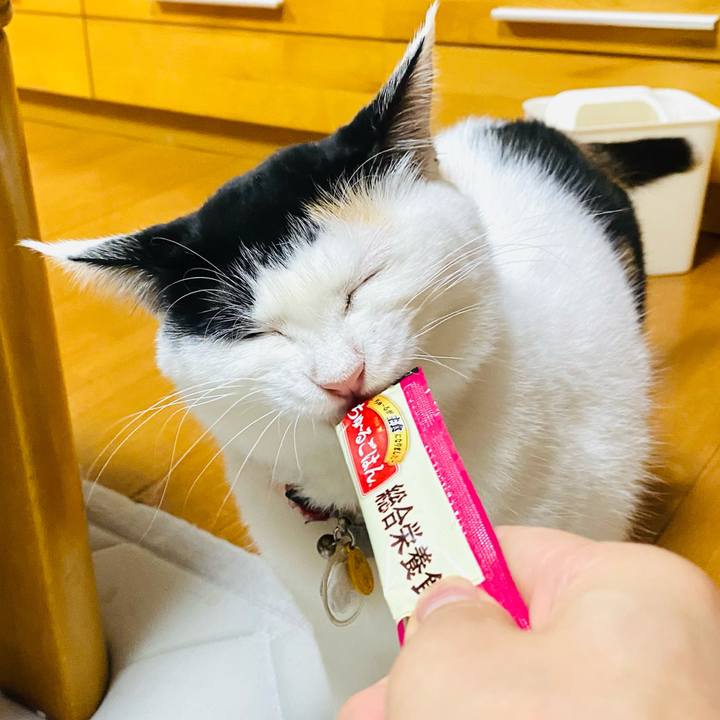 6f6358e0 ec94 4d6d a6d0 2fbdc69a8a4f 1725011822743