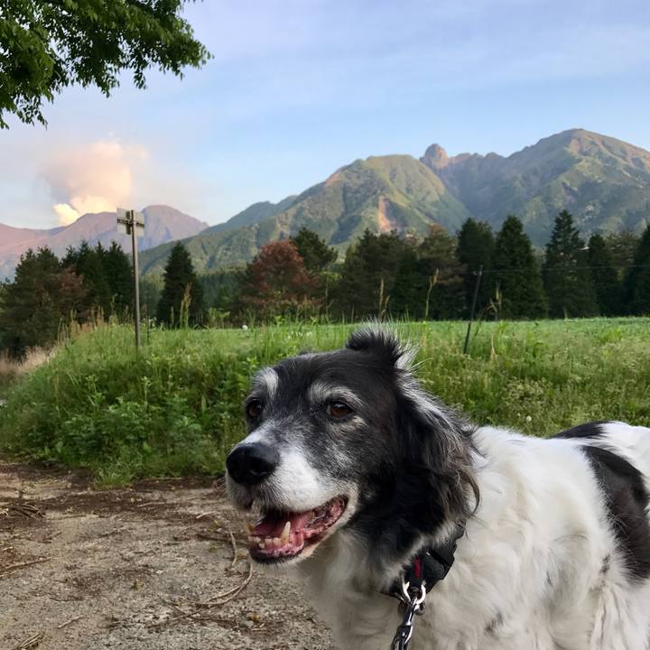 6f635aa7 fa64 4af0 84da 0e47bf1476e8 1557532212857