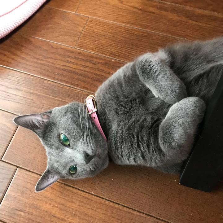 6f63aedd 7bf9 4692 8b83 403b53a6ca70 1507763202699