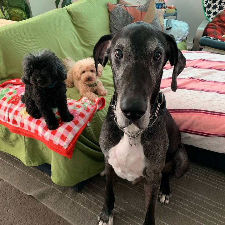 6f63dd58 99c7 4007 bc35 63f2b345cad8 1597273092945