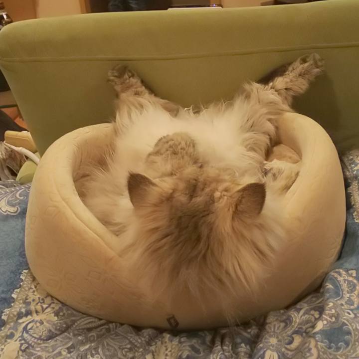 6f63f7e9 d3ed 4708 bae5 42c504c7d708 1584505292752