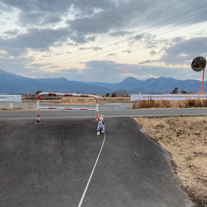 6f642d2a 947a 45bc a81a 8dc6732a01f1 1612150523738