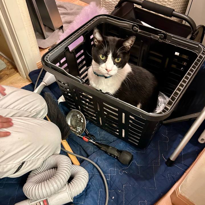 6f643141 29f7 41a6 addc 96628f002722 1761643808536