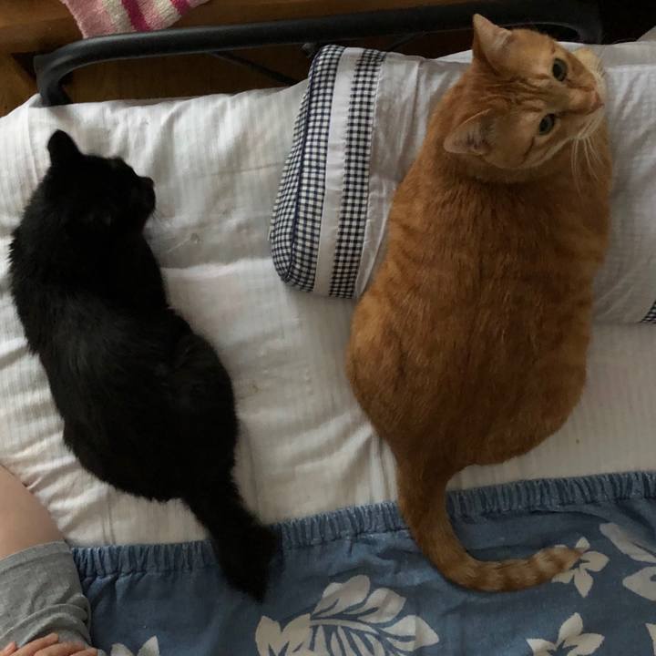 6f649cef b1fc 4544 be42 c078144e0789 1583270675743