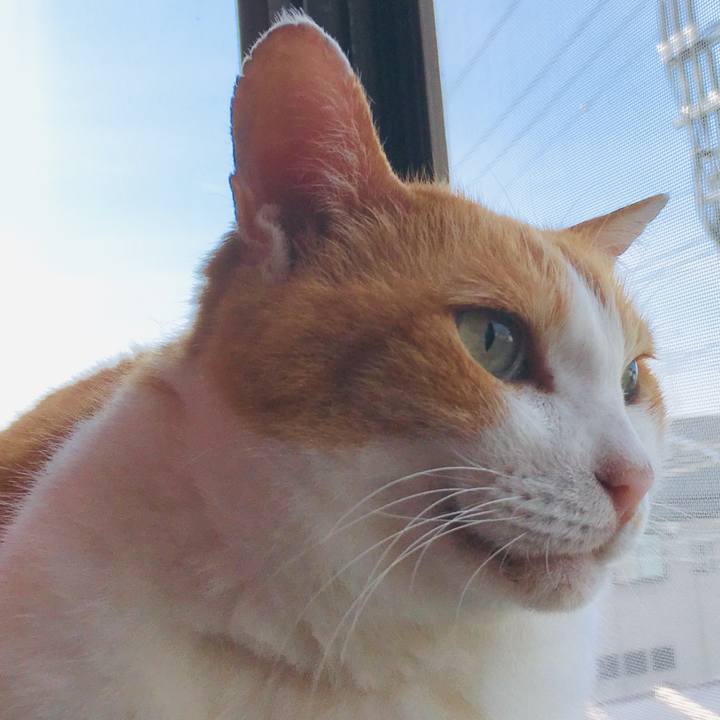 6f64a16e fc97 4fa3 b9f1 67464990fb14 1564448517748