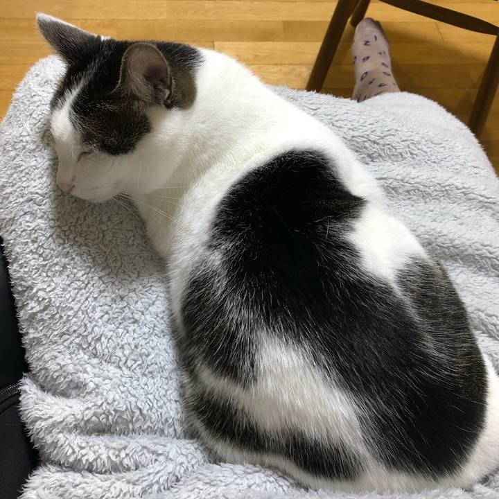 6f64b58b ece7 46ba 8a7a 6e2f71d5d108 1699612991507