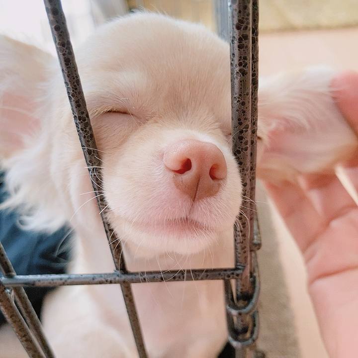 6f64d2ca 39b5 4fbd 91e7 a4f7eeb37e74 1593243859262