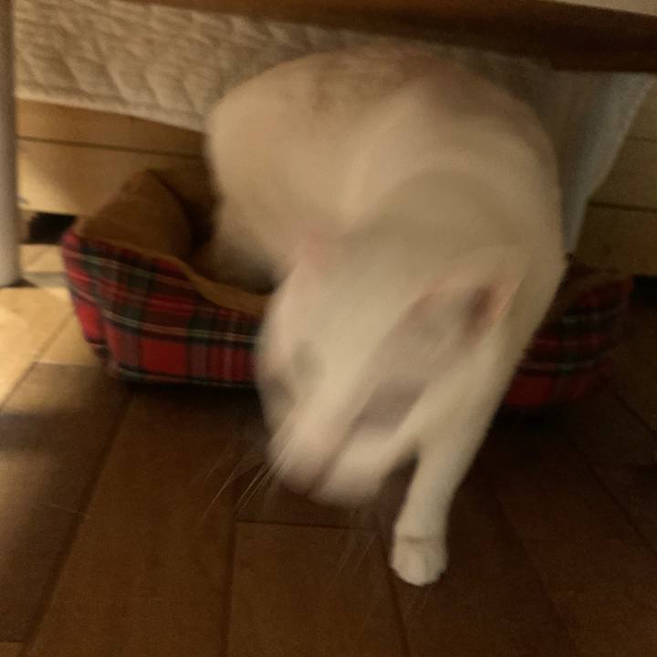 6f64fb2e 5787 4844 88bd e4c609d415c3 1668002325555