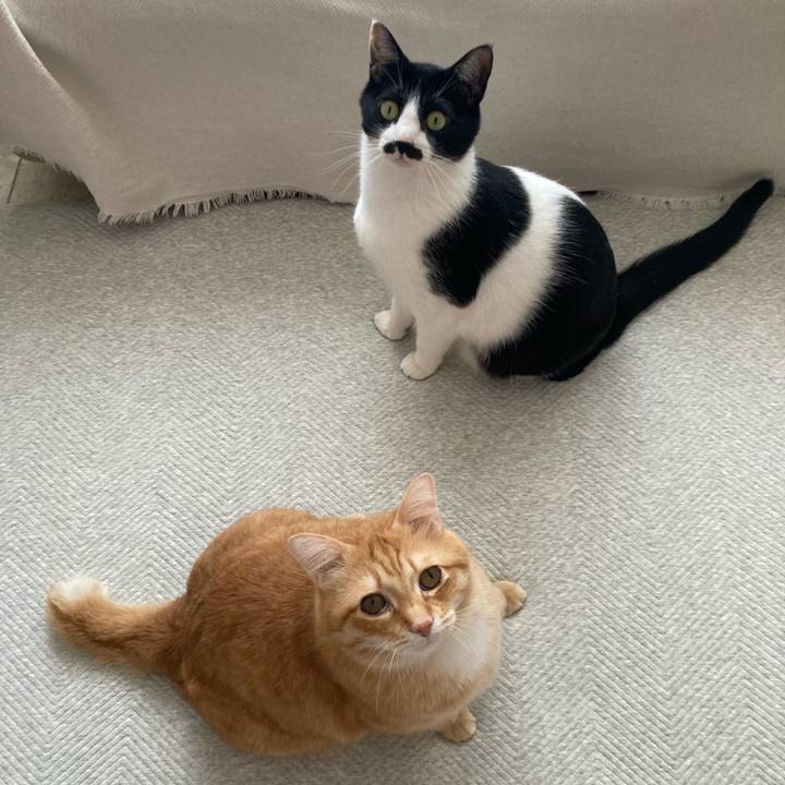 6f652519 ee16 4040 aca7 084ad82f8a15 1772493417955