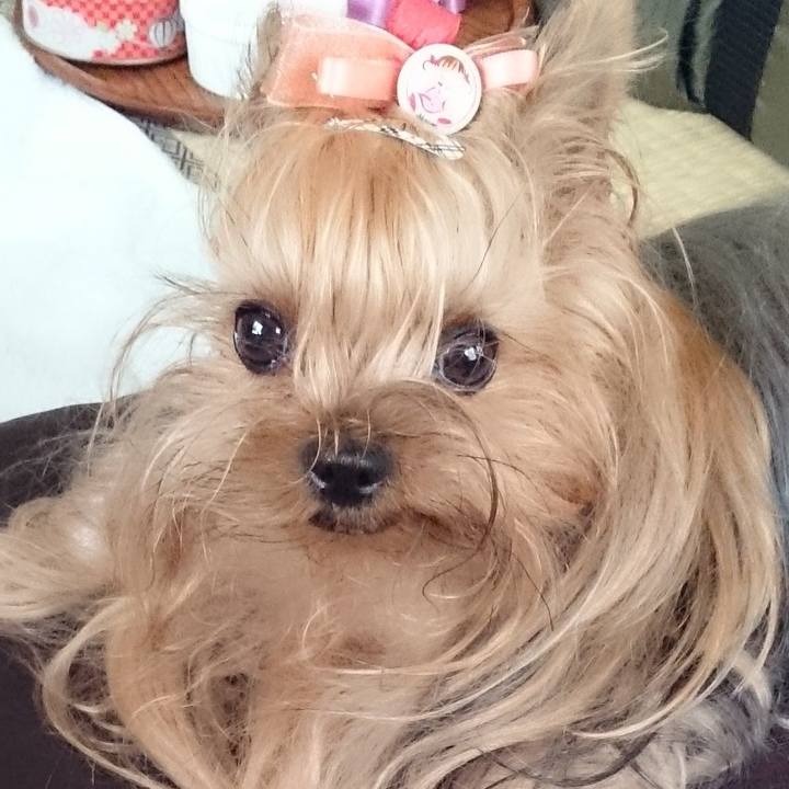 6f65362b 9898 4292 adc5 4ff20b9d5bf8 1698889109082