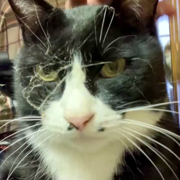 6f6587a1 08eb 4f99 ba7b 6150fe43d1f3 1731727011230