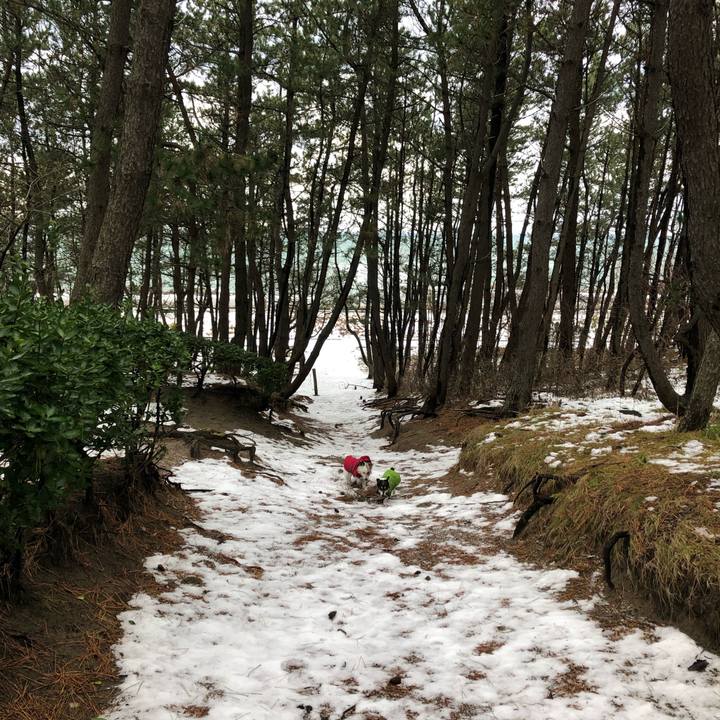 6f65c334 ddc2 4c5d b899 c06f9ecc9f48 1548551000227