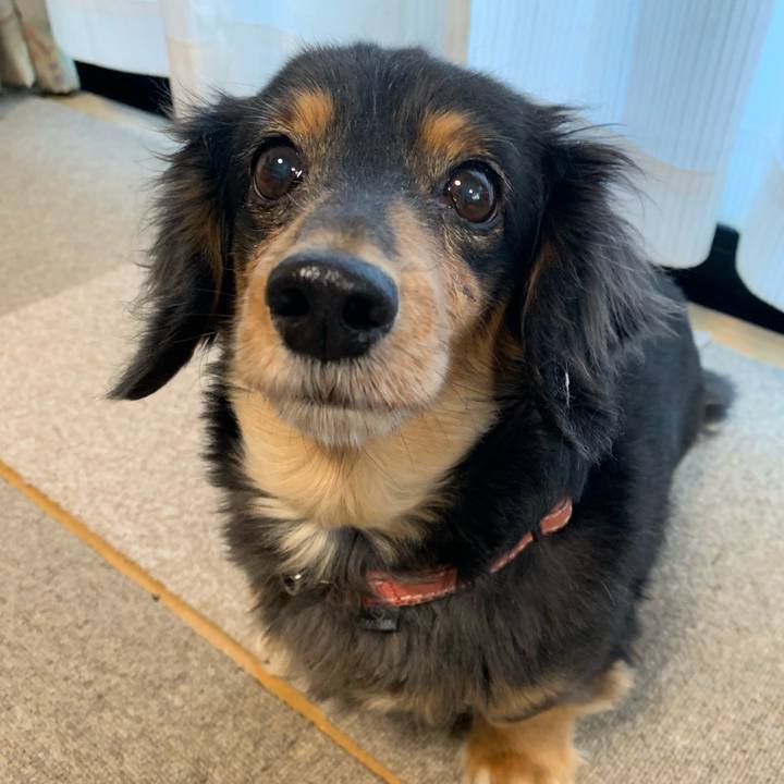 6f65caa7 7465 4d08 82ec 9ba10d19c927 1576447377803