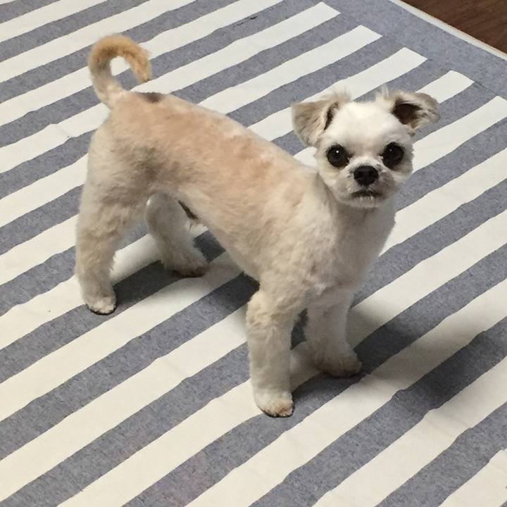 6f65dd70 980f 4348 a8a0 e8ca6dc2a598 1567161493197