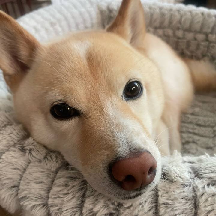 6f65f050 82f8 4742 9546 b96c0acbf715 1659066244778