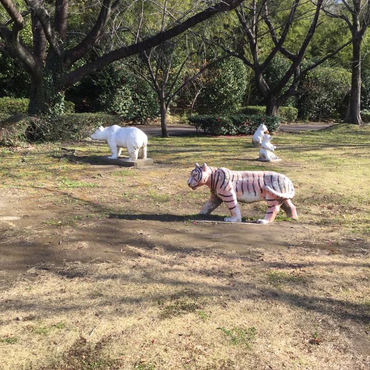 6f660f57 7d94 487a 94f5 615c45827740 1545722072912