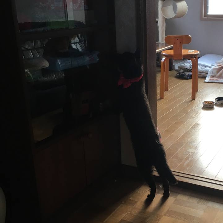 6f661930 2695 4fd8 b564 648a2d2b15ce 1552945270494