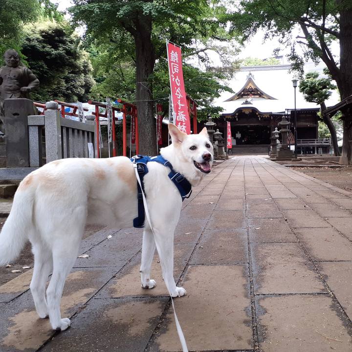 6f662cbe 002f 4c43 b32b 5d1f7324fdea 1684045557230