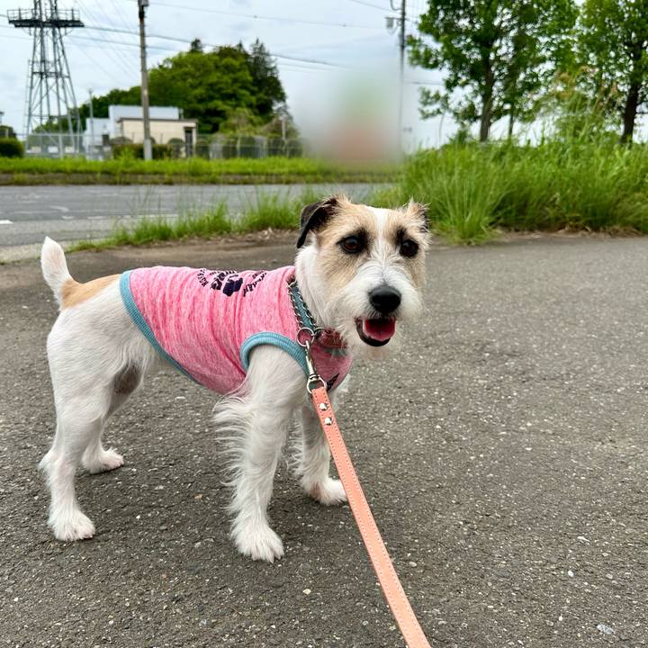 6f663ef5 04f7 48b7 a0a1 53cc826bdc38 1714440850040