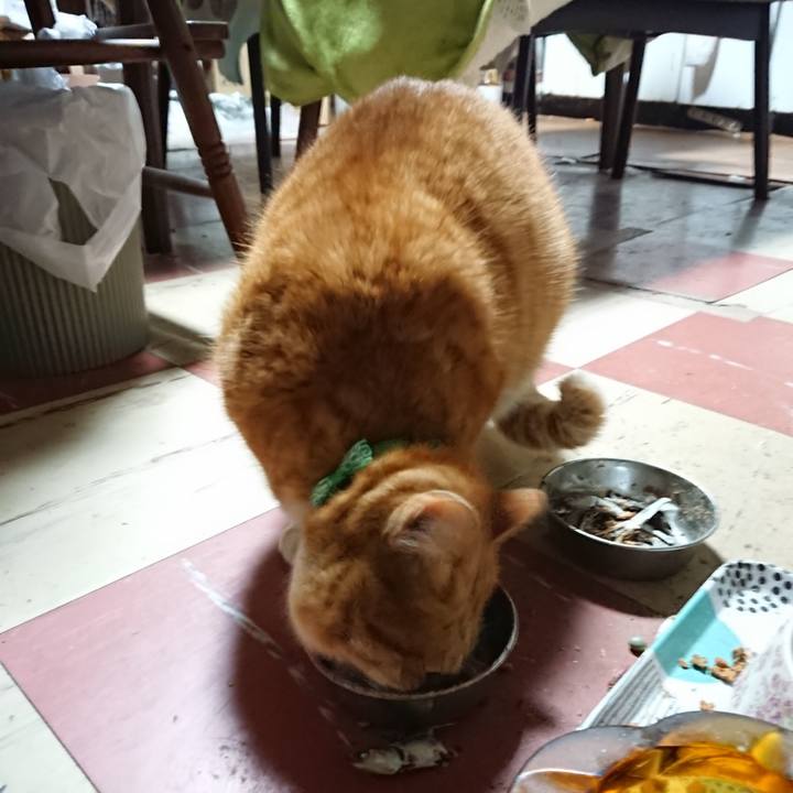 6f665519 1866 41d3 abe6 aaf126cbdd28 1579896998924