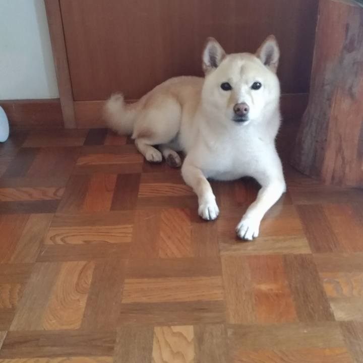 6f6677f3 5234 4ec3 9c38 e5613a6b45ac 1589238910570