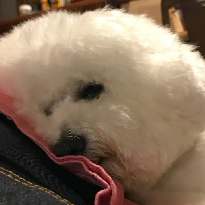 6f667b89 08f5 4865 ab64 1fd25802b097 1546082836708