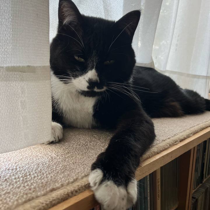 6f667d18 af3c 4129 b3fb 06d4d5159e41 1718854327355