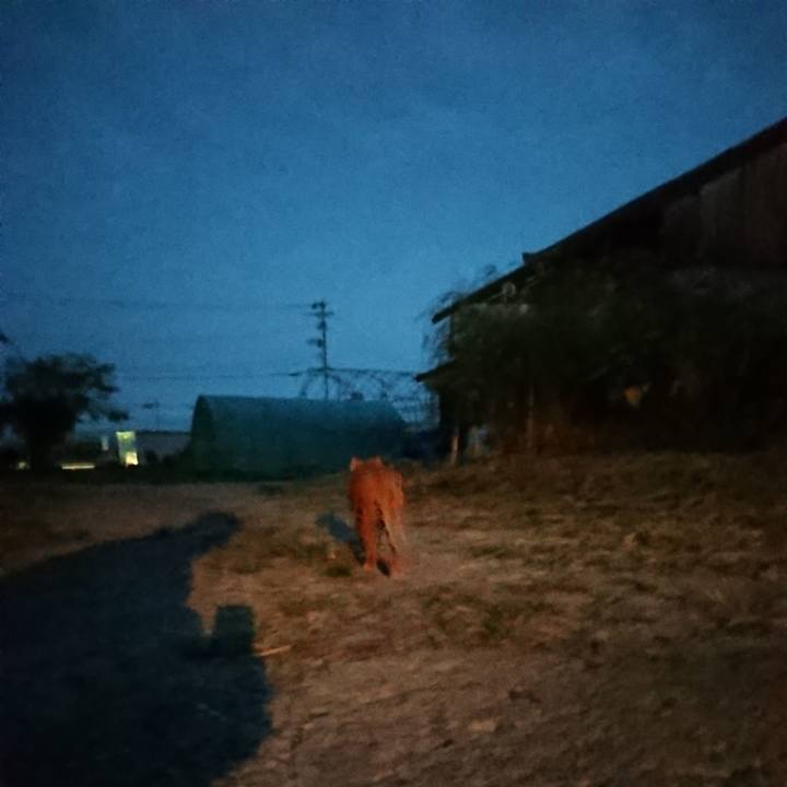 6f66864c ca15 44aa 8045 6b0b3faf6088 1600765801846