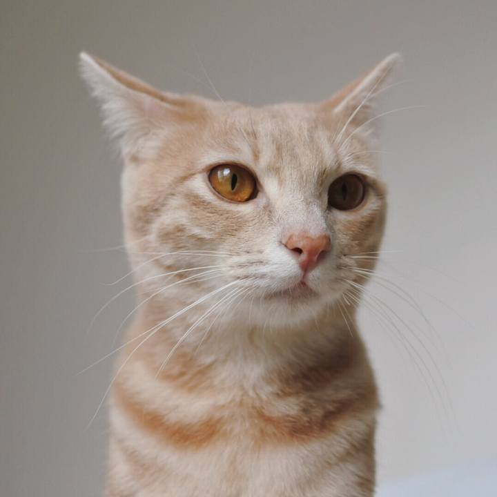 6f669a53 7eab 40b1 81b0 f7e1cef1ac21 1562814127753