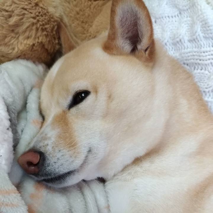 6f66b002 7757 495d bf89 8395320ac7ea 1610241631258