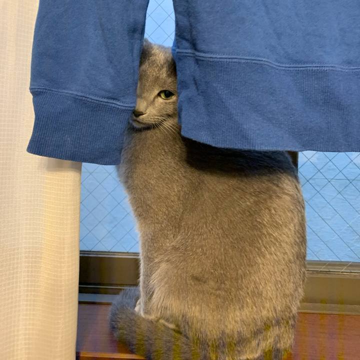 6f66d1f6 1c2a 4d79 bc3b ac3e74b69e0a 1580191575895