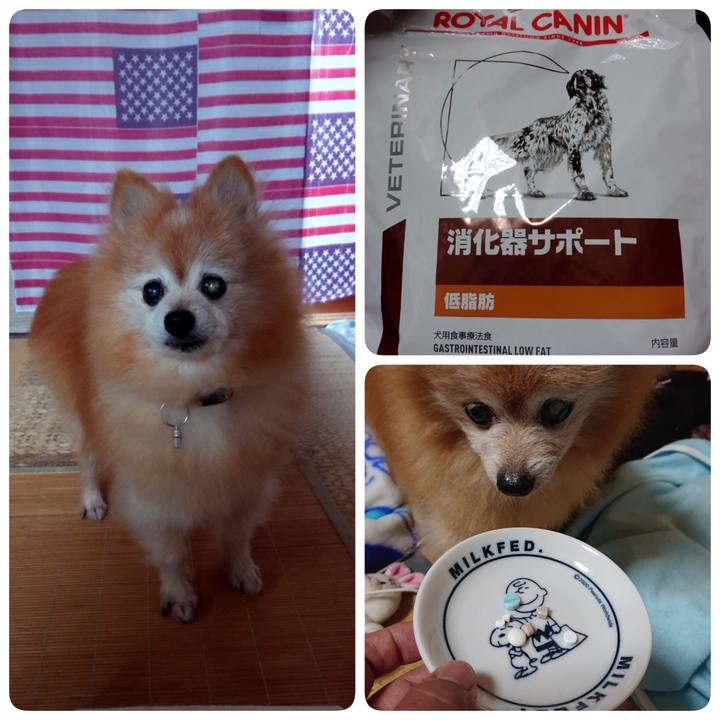 6f66e1c8 3a24 48f4 b824 625b98275afc 1630016463018