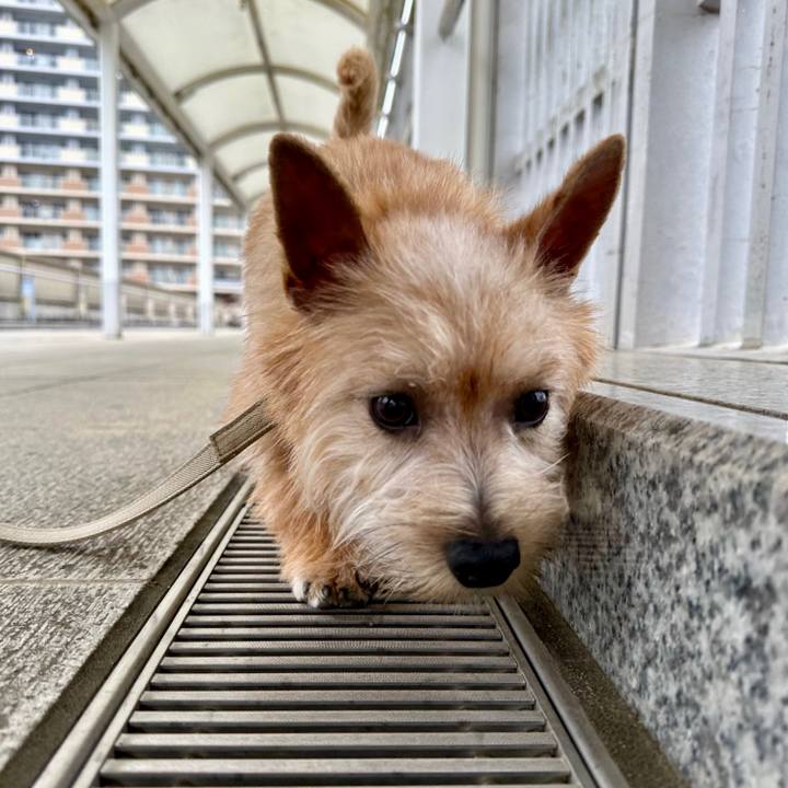 6f6718b5 43d4 42fa 83de 75277441f976 1710205802339