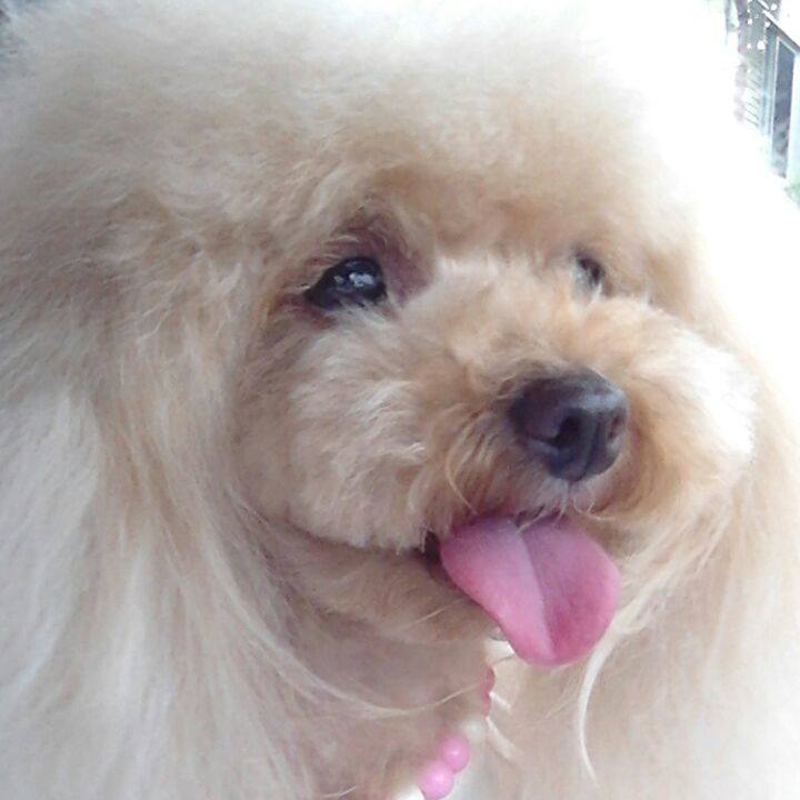 6f671d94 a62e 47e6 a3de dab3aae8976e 1560685663691