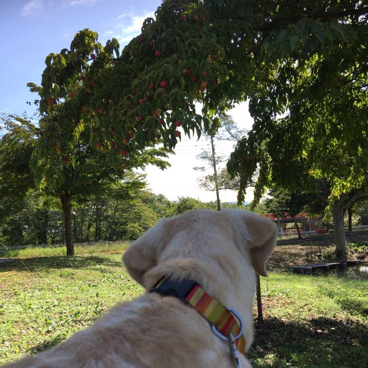 6f67465e 466d 48af 815f 75fb4befd21e 1537929917758