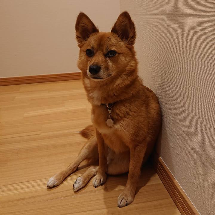 6f6748e4 21dc 463c a77a 11973ea8cc52 1562341253574