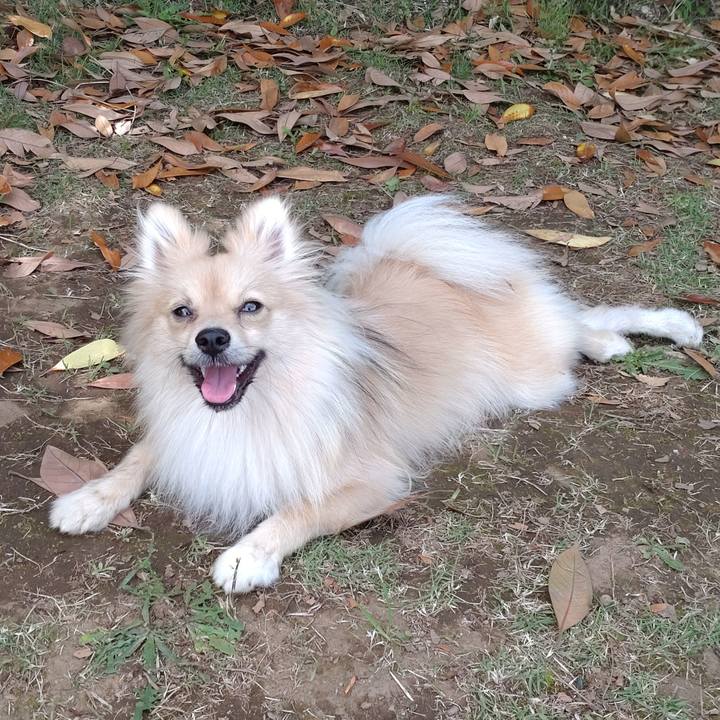 6f67494e 8d75 4465 9713 365c423b6535 1749685146335