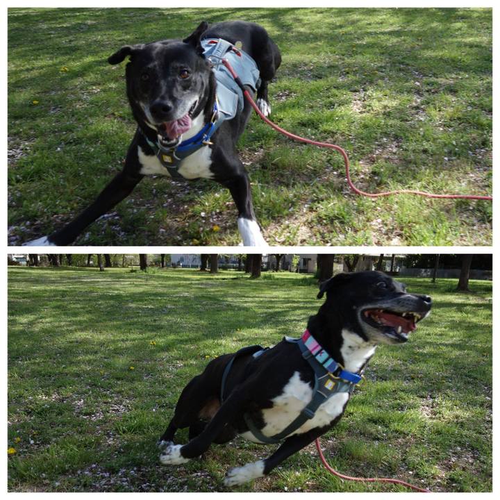 6f678050 226b 4c36 8e14 475373906a3d 1744677349175