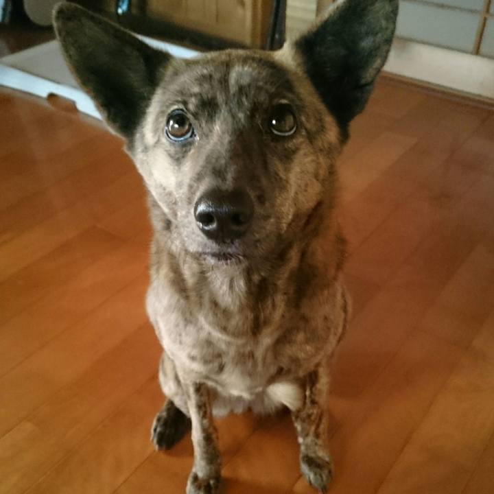 6f6780c9 4fc1 460b a88f 37b5b0042e31 1512266535987