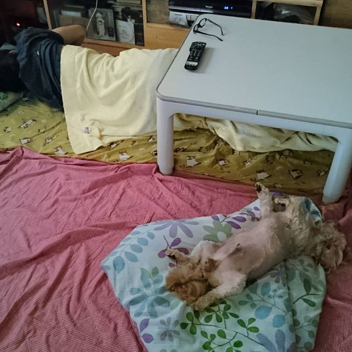 6f6782ac 3a38 4555 a8c7 014c0b69eda3 1531260927601